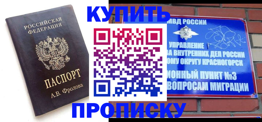 прописка поиск в Новозыбкове